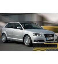 Guia Corrente Comando N2 Audi A3 2.0 Tfsi 200cv 2011