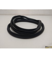 Borracha Da Porta Tras/esq Peugeot 2008 Allure 2020