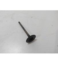 Válvula De Admissão Cabeçote Audi A5 2.0 Tfsi 225cv 2015