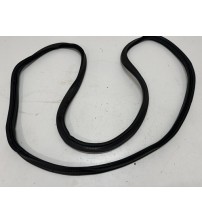 Borracha Da Porta Dian/esq Vw Polo Hl 2023