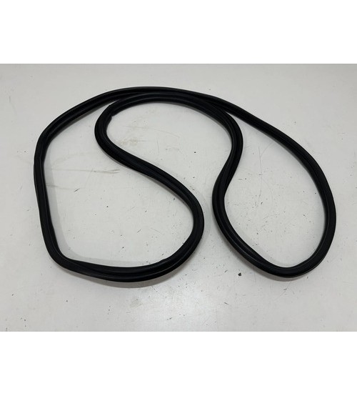 Borracha Da Porta Dian/esq Vw Polo Hl 2023